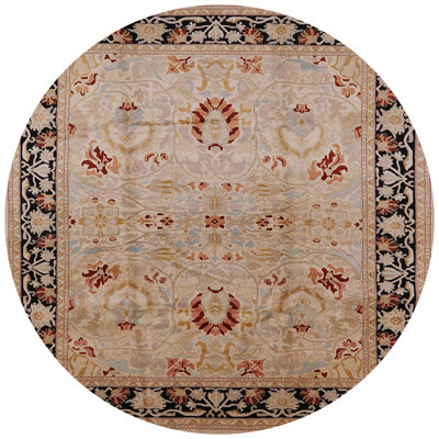 Petrus Oriental Indoor Rug