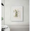 Plants & Flowers Print by Claudia Lowry-1940830802