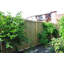 Bamboo Border Fencing-49499796-49499791