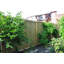 Clôture en bambou Tonkin-49499796-49499791