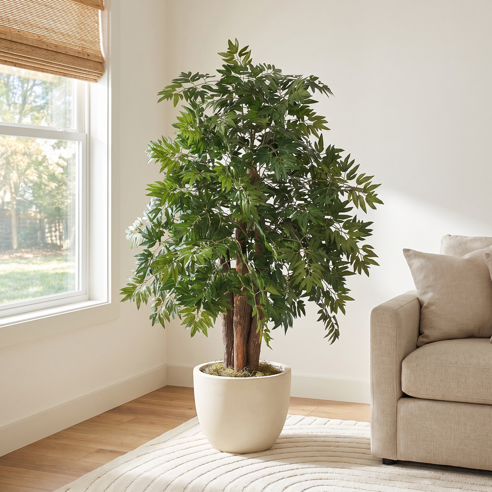 48 " Foliage Plant in Pot