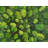 Microfiber / Polyester Comforter-1110560520