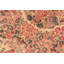 Tapis de zone en laine brun noué la 6 pi 1 po x 9 pi 6 po one-of-genre-the main Oxon Hill
