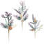 Fancy With Seashell Spray,  14-16.5 Inches Set Of 12