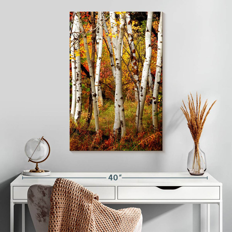 Alvord Slender Birch Trunks, 30" H x 20" W