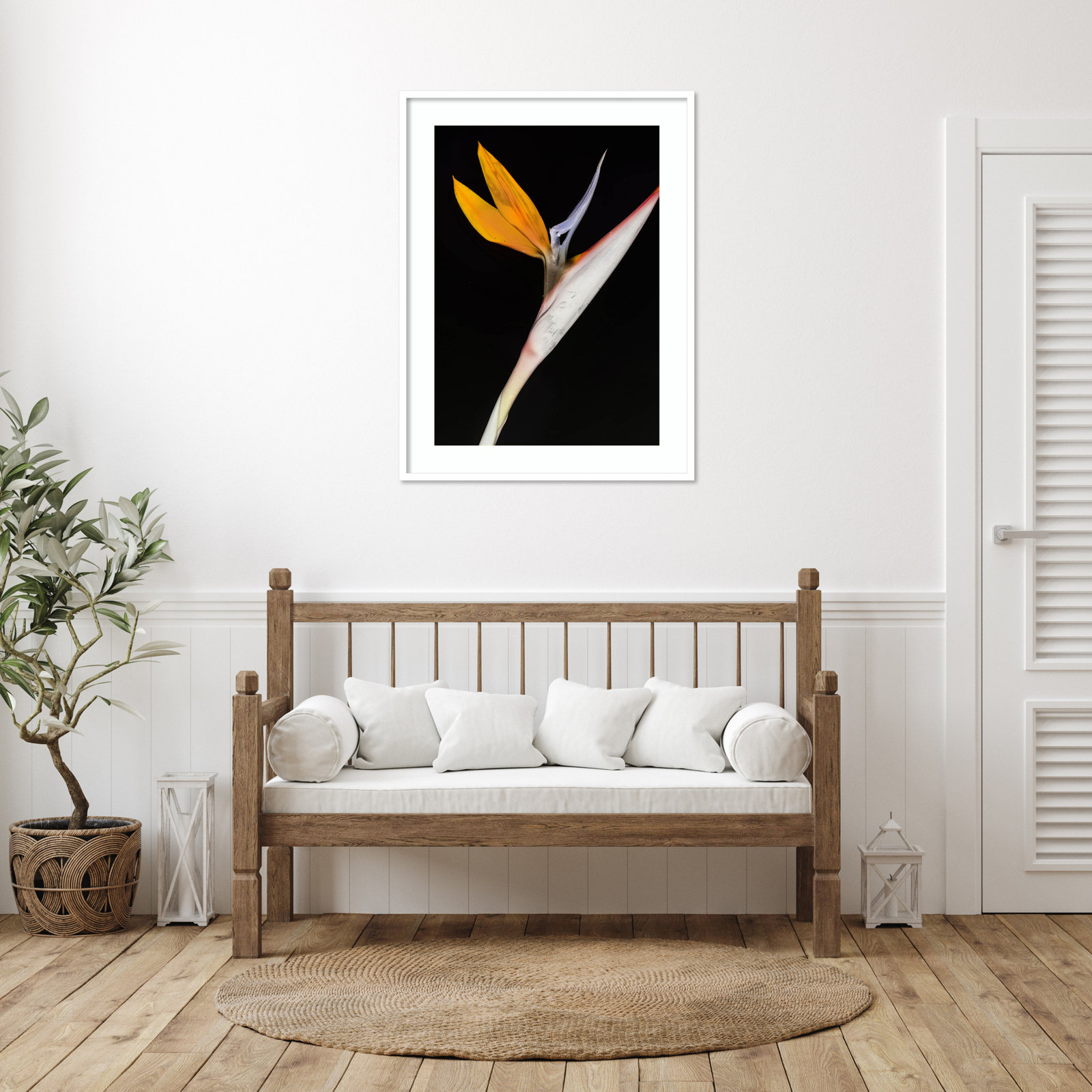 Bird of Paradise by Shot by Clint Wood Framed Wall Art Print, 41" H x 31" W, White