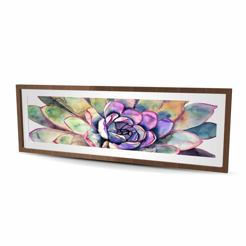 Multicolored Succulent - Exotic Bedroom Framed Print Decor