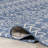 Royalston Power Loom Tribal Blue Indoor/Outdoor Patio Rug-863628643