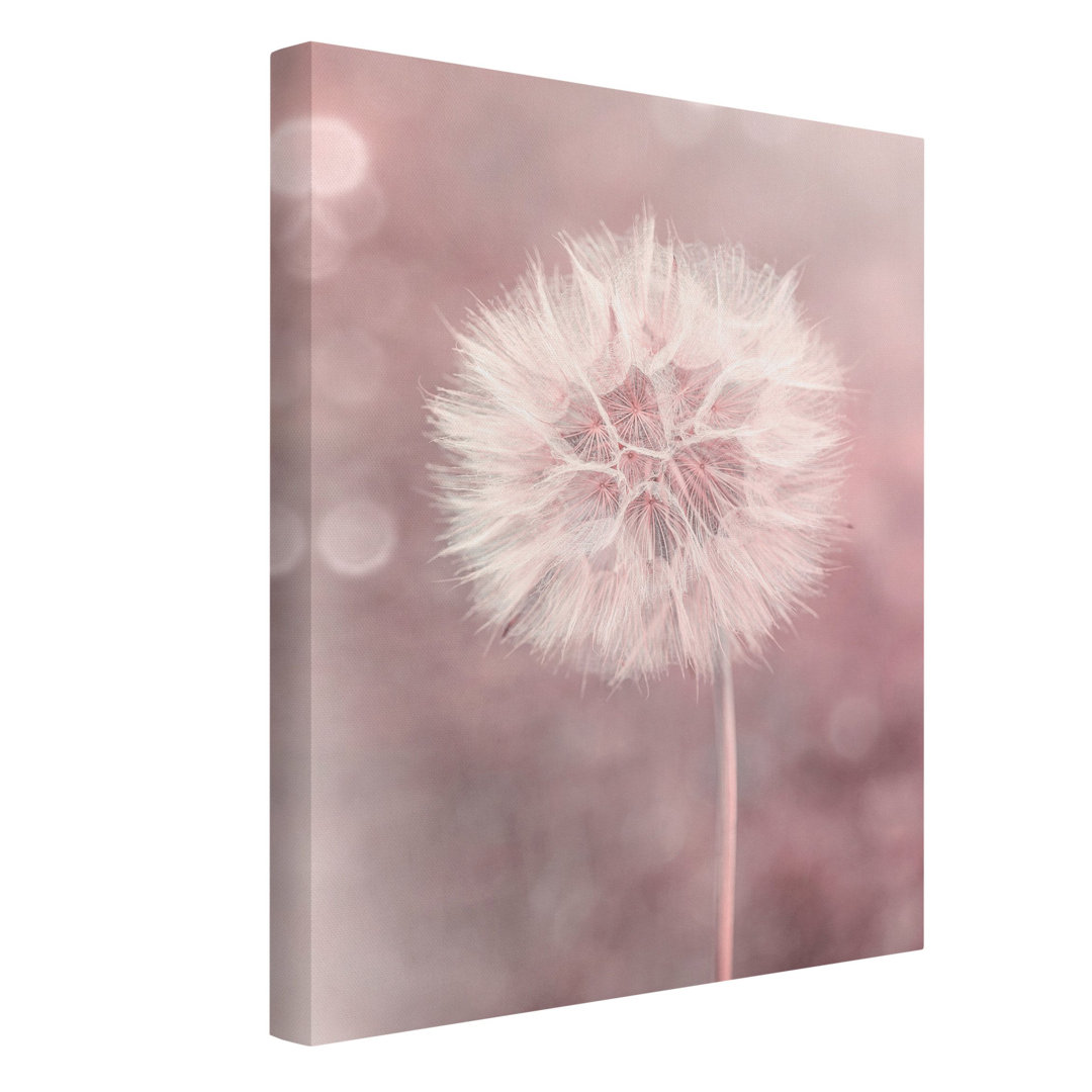 Leinwandbild Rosa Pusteblume von Andrea Haase