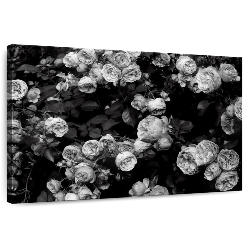 Harnek Roses BW, 8" H x 12" W
