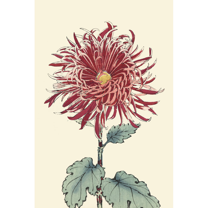 Chrysanthemum Woodblock I - Art Print, 46 cm H x 30 cm W, Wrapped Canvas