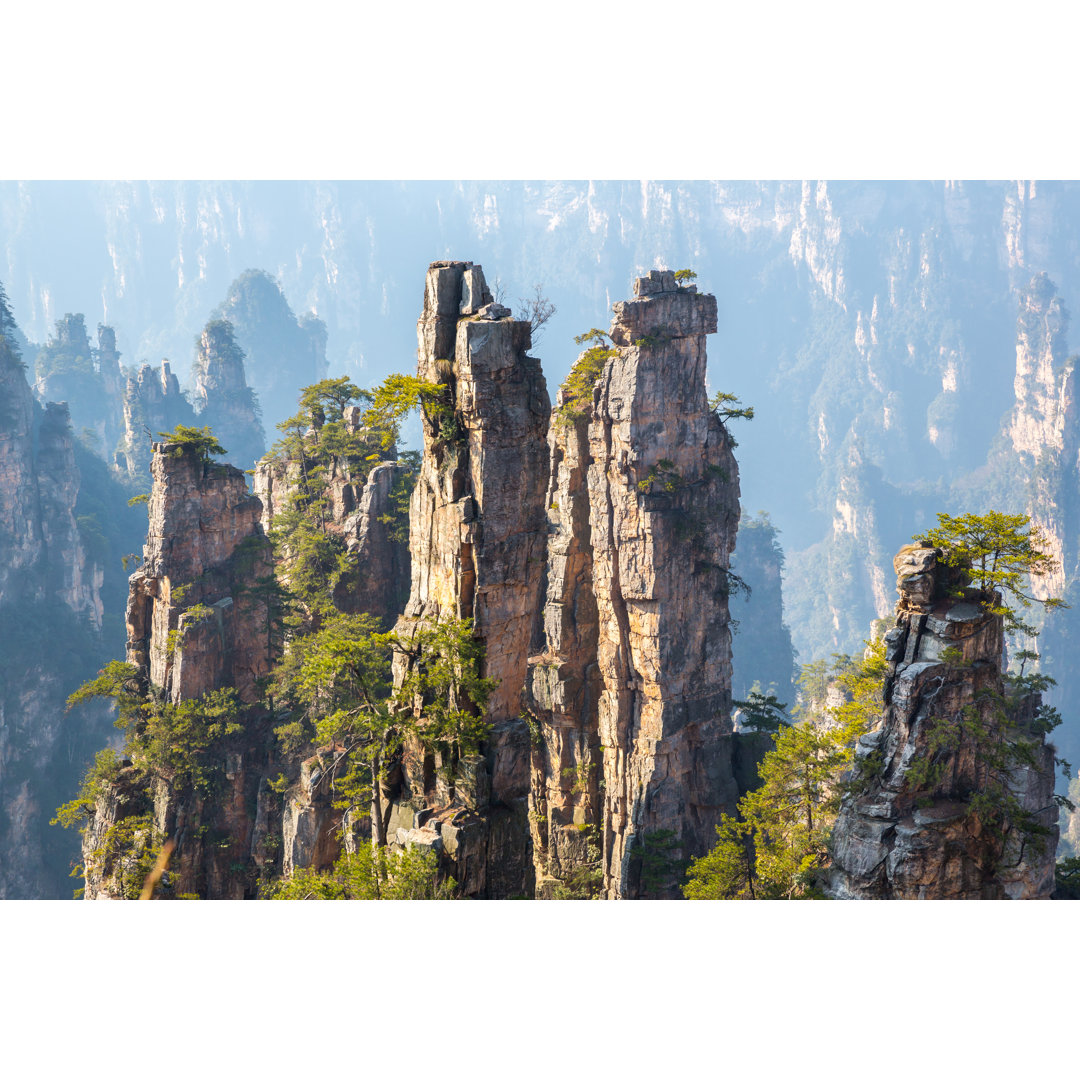 Zhangjiajie National Forest China