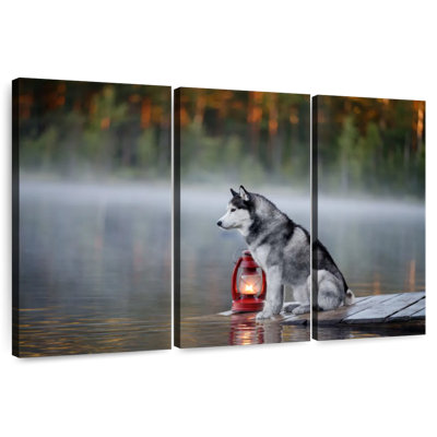 Husky On Lake Dock