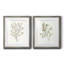 Simple Sprig III - ensemble de 2 reproductions d'art sur toile encadrées