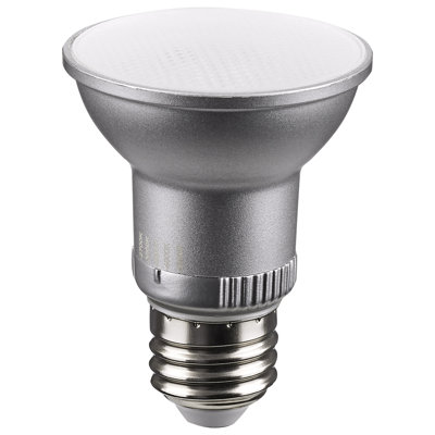 5.5 Watt Gray LED Bulb