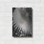 «Palm Frond 2» par Debra Van Swearingen-252947742