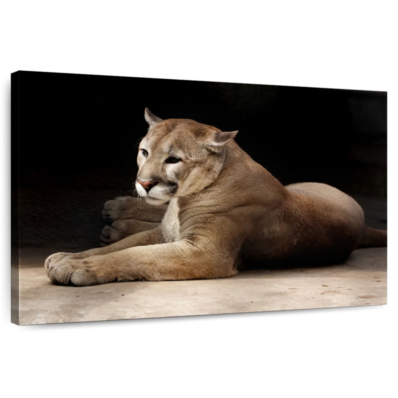 Brampt Lounging Puma, 8" H x 12" W