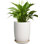Pot à fleurs 8 "en céramique blanche avec drain et soucoupe