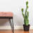 30'' Faux Cactus Plant in Pot