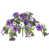 Purple est en rupture de stock