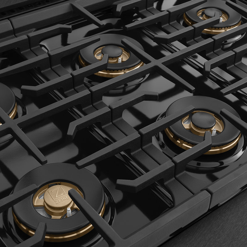 ZLINE 48 in. Paramount Dual Fuel Range with 8 Burner DuoPro Cooktop in Black Satin Stainless Steel, Champagne Bronze