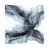 Wrapped Canvas selected
