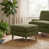 Green Chenille is out of stock selected