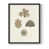 Black Single Picture Framed