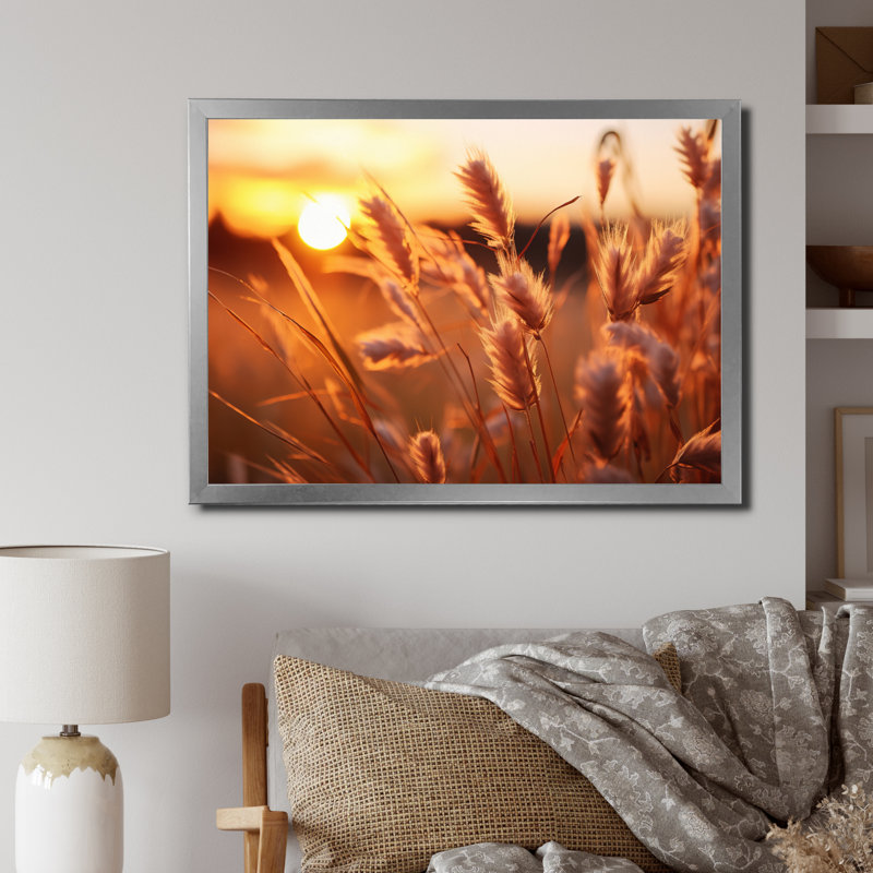 Champ de fleurs jaunes jaunes avec coucher de soleil II, H 12 po x l 20 po x P 1 po, Cadre simple argenté