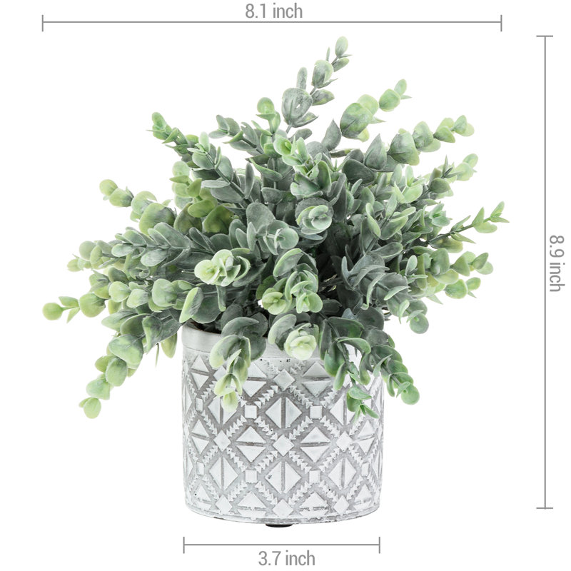 22.60 cm Artificial Eucalyptus Plant In Pot