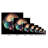 " Boho Nautilus Shell 248 "-1498490003