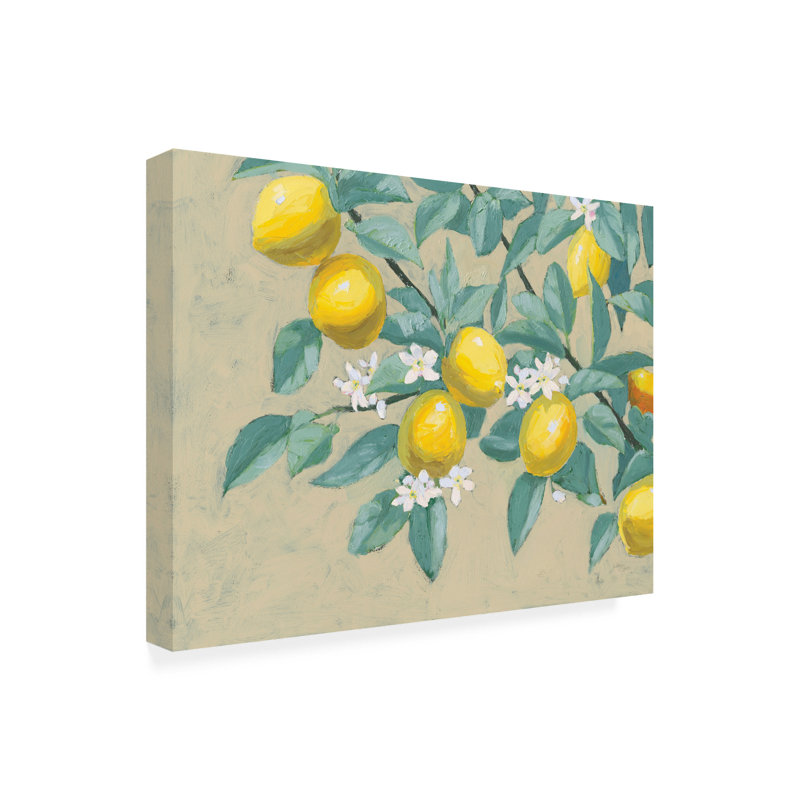  Art mural sur toile Wellington, branche de citron, H 24 po x l 32 po
