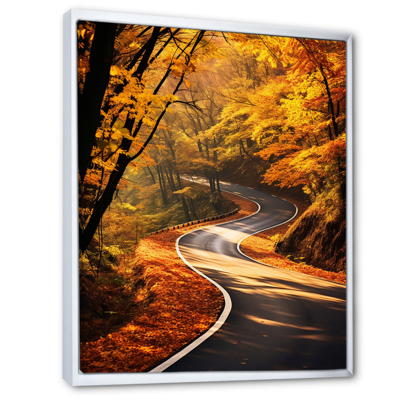 Chemin doré de l'automne, H 40 po x l 30 po x P 1,5 po, Cadre flottant blanc