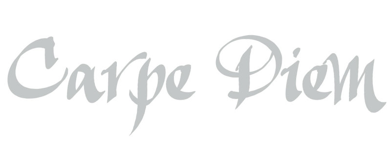 Décalcomanie murale indemnités journalières carpe diem, H 9,5 po x l 36 po x P 0,01 po, Gris clair