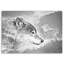 Wolf Nature Animals - No Frame Print on Canvas-98483415