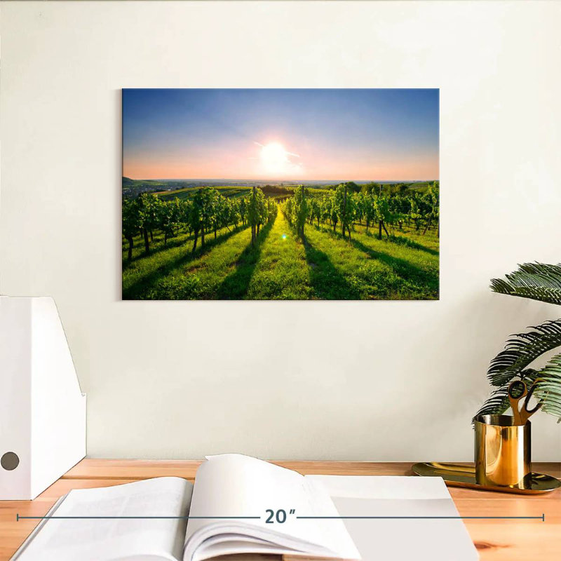 Alvord Sunny Kraichgau Vineyard, H 8 po x l 12 po