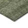 Machine Washable Indoor/Outdoor Segin ACN1165 Olive