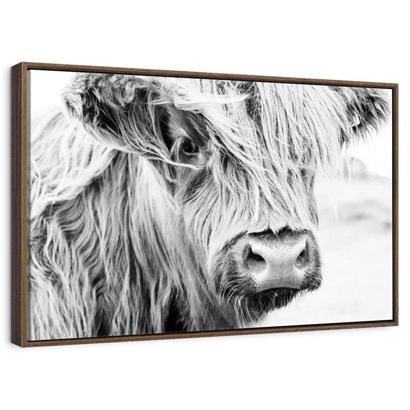 Vache à poils longs, 37 po x 25 po, Cadre flottant noyer