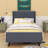 Audranna Upholstered Panel Bed-656820049