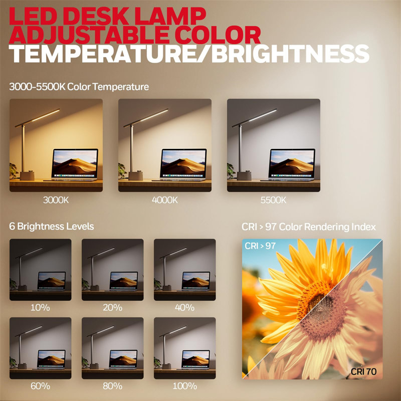 Desk Lamp