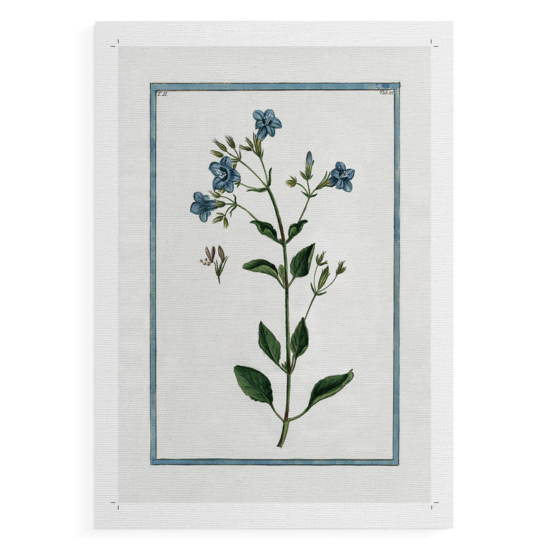 Botanical II - Impression sur toile seulement - NON-CADRE, H 18 po x l 12 po