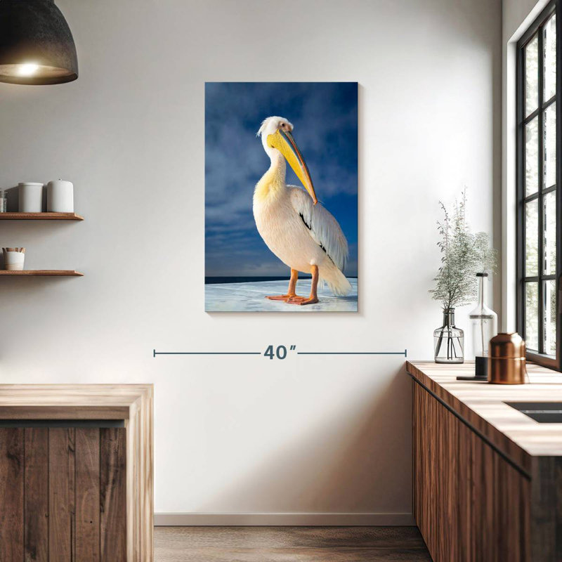 Brampt Shy Pelican, 36" H x 24" W