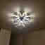 Customer photo 2 of 2