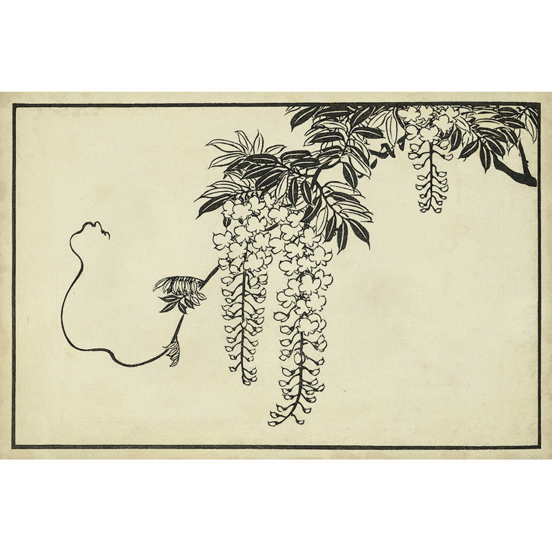 Wisteria japonais I A, H 8 po x l 12 po x P 1,25 po