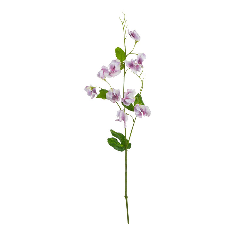 Anastasija Arrangement, Purple