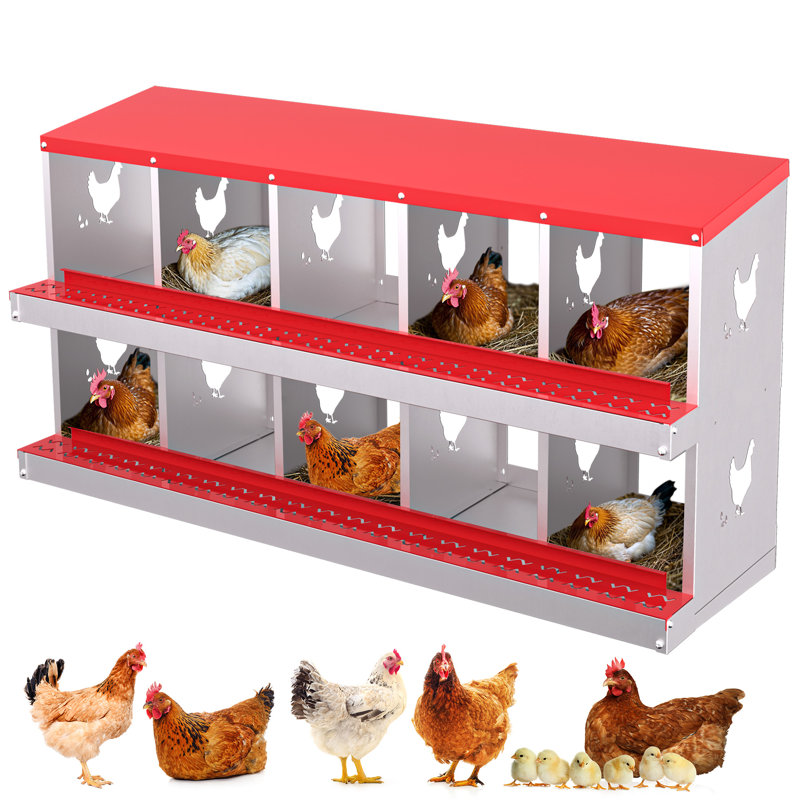 Chicken Coop, Red
