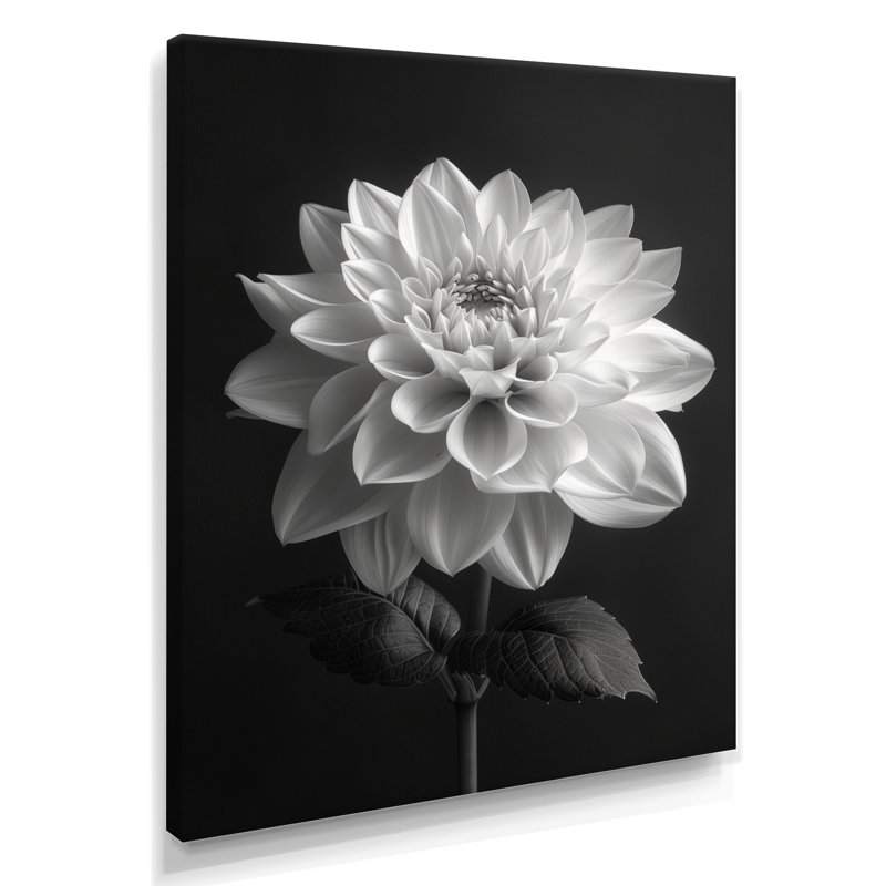 Élégante impression monochrome de Dahlia noir et blanc II - Dahlia, Toile tendue, H 24 po x l 32 po