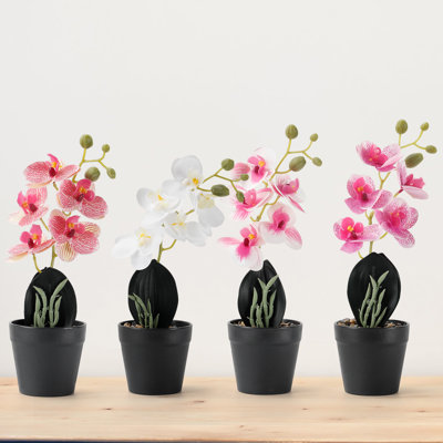 Ensemble de phalaenopsis artificiel