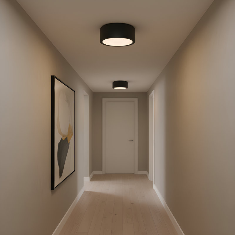 Petit plafonnier Albee de Génération Lighting , Nuit noire