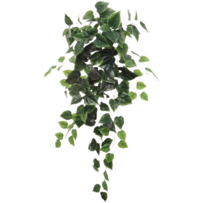 Hanging Pothos Bush 36" - 2025 Spring Collection